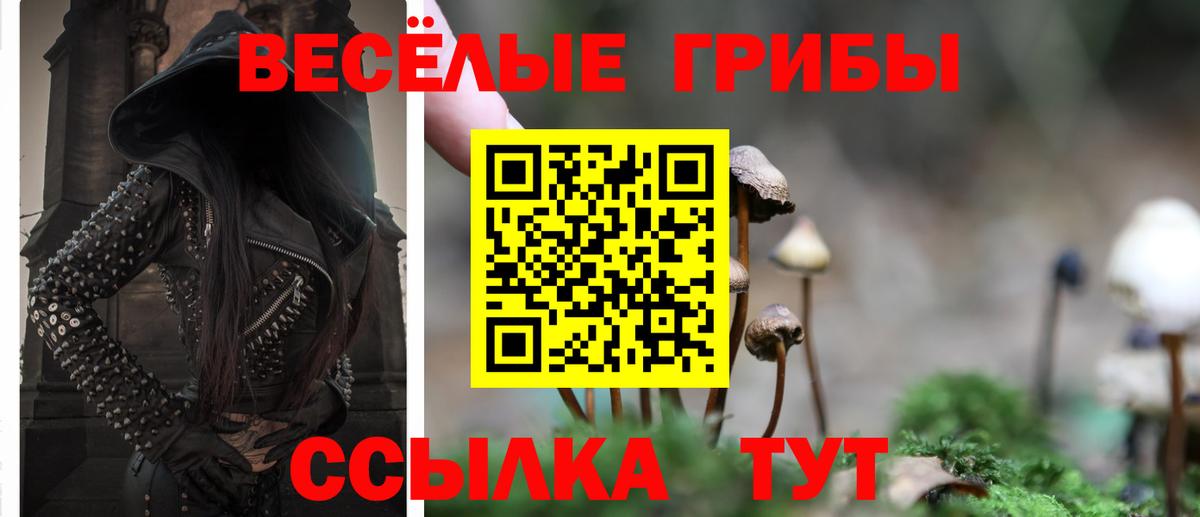 Галлюциногенные грибы Magic Shrooms Краснознаменск