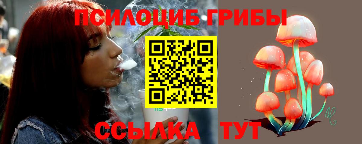 Галлюциногенные грибы Cubensis  Вход с VPN  Псилоцибиновые грибы MAGIC MUSHROOMS  даркнет сайт  Краснознаменск 